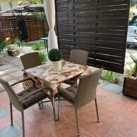 Midi Terrace Wifi Autoparking Guest house Siofok