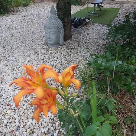 Affittacamere Midi Room, Free Parking, Terrace, Ac, Wifi 4*